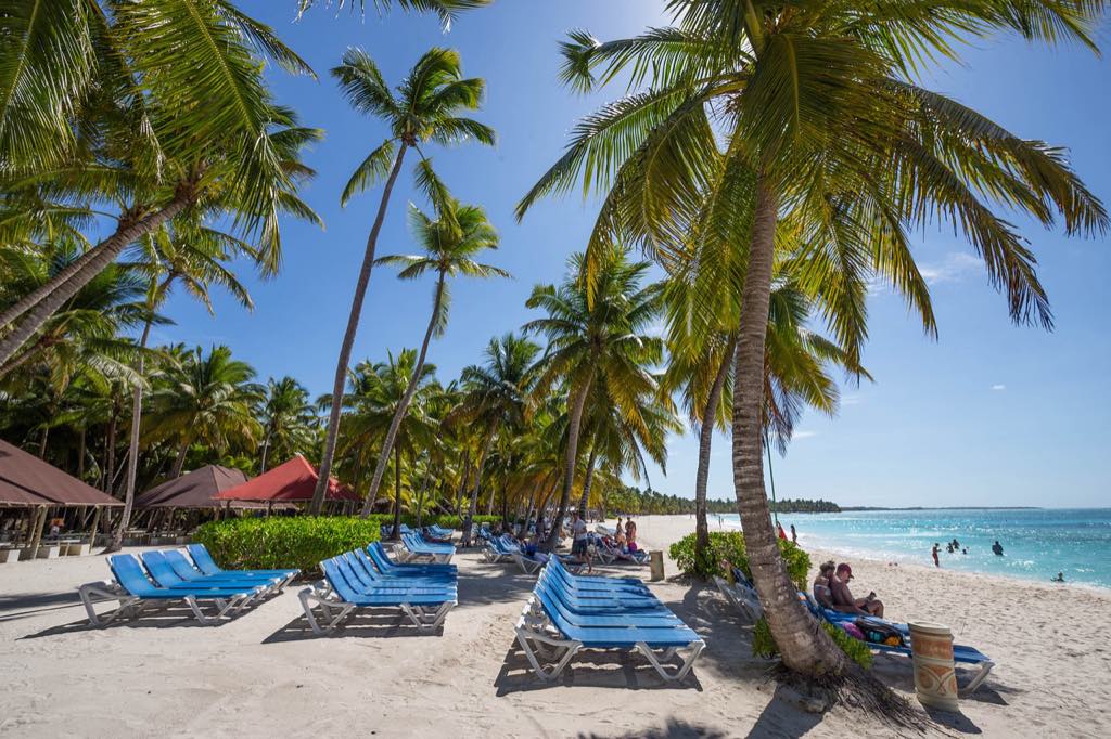 Caraïbes : cocoteraie et transats sur une plage de sable blanc bordée d'eau turquoise
