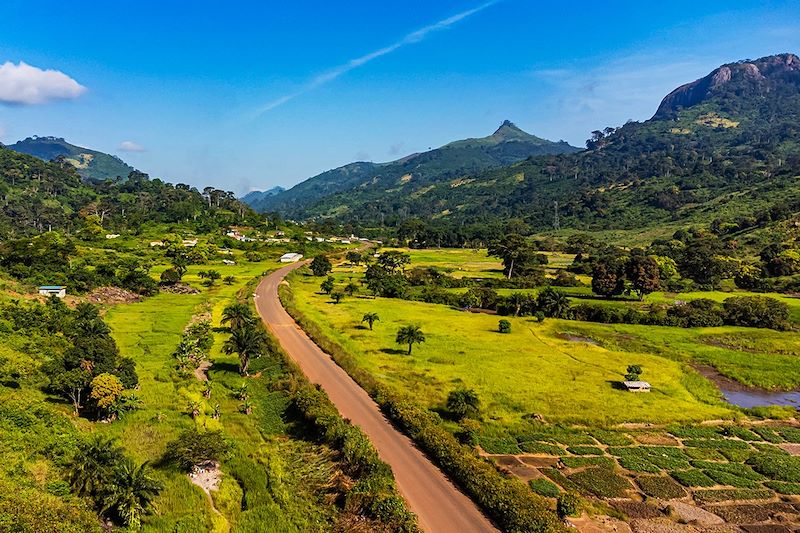 Côte d'Ivoire : piste de latérite et végétation dense