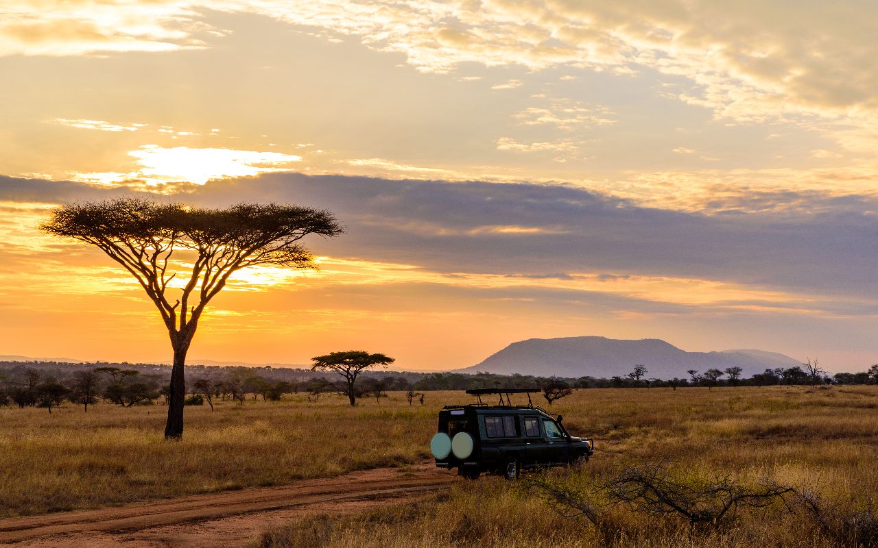 Afrique du Sud : Le Cap et la montagne de la Table